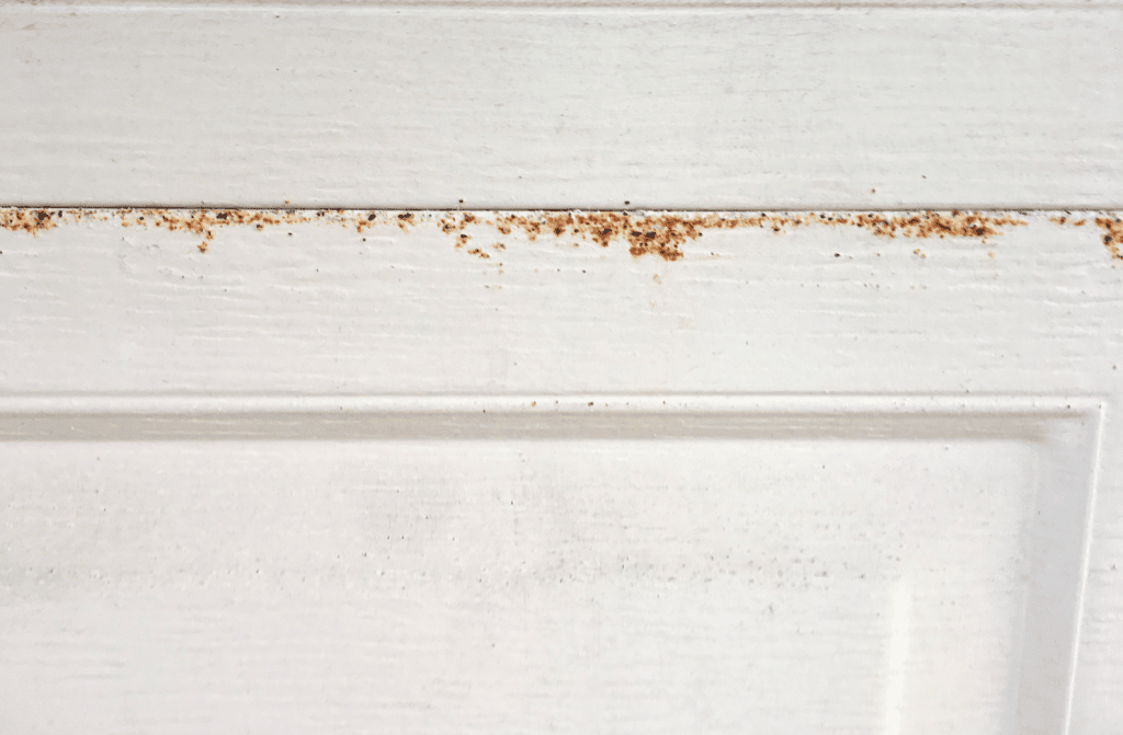 Garage door rust