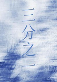 三分之一焦煤价格